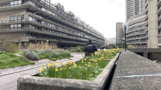 The barbican centre with some grass and flowers in the foreground