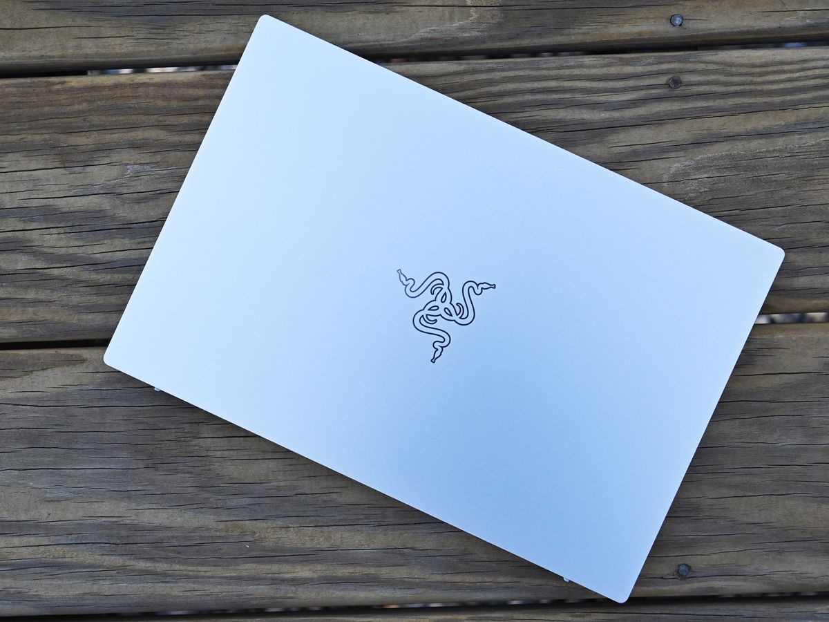Razer Book 13 2020 Logo