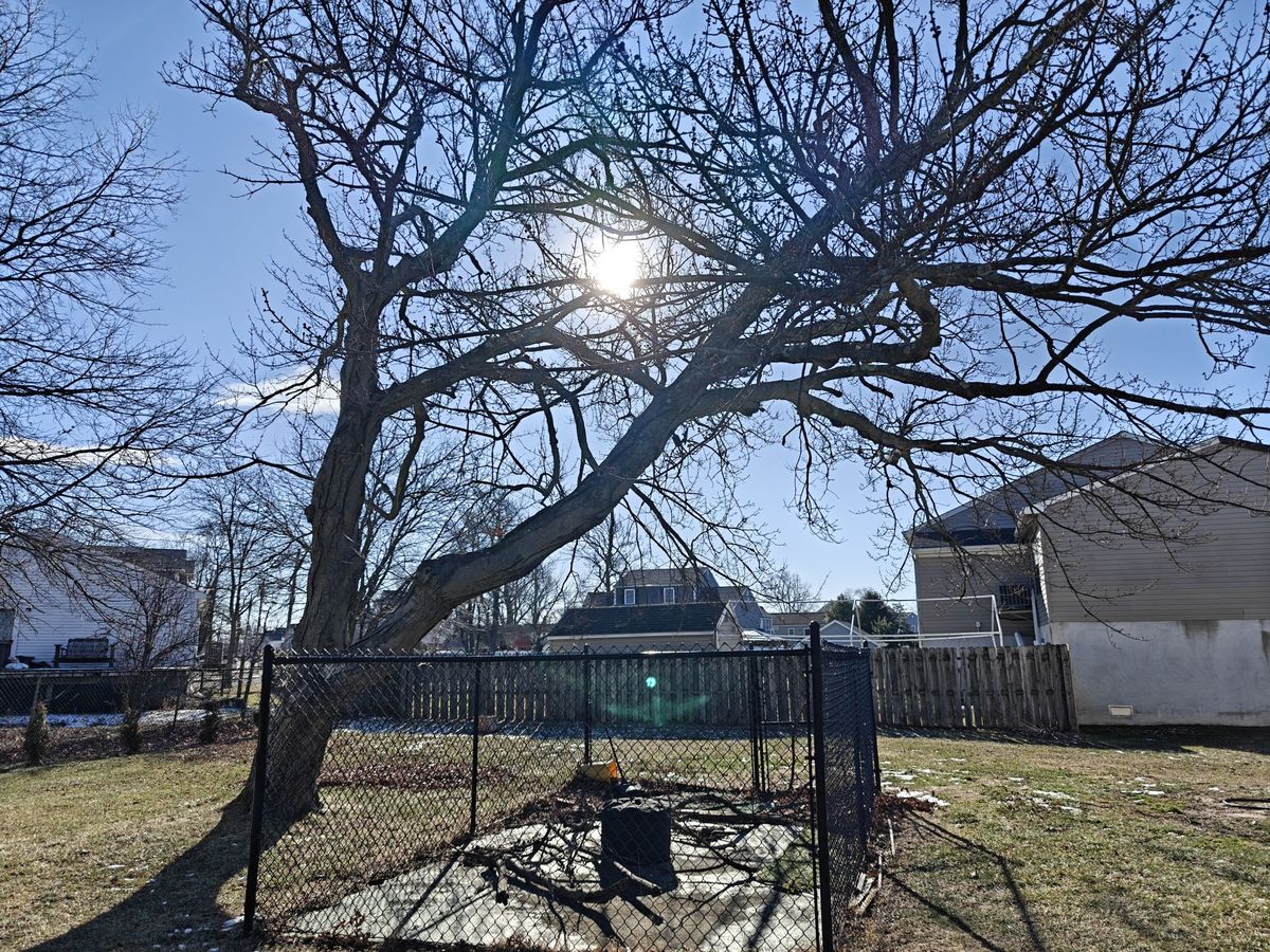 OnePlus 13 dynamic range sample.