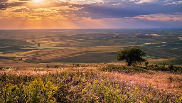 Rolling landscape at sunset.