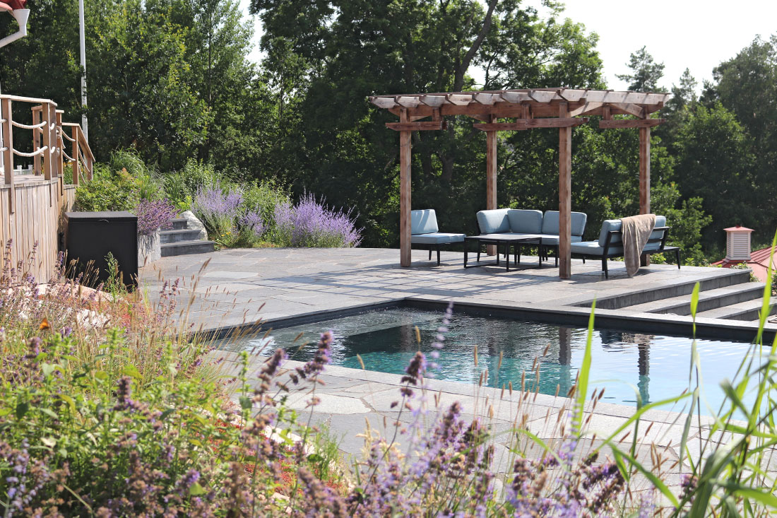 paved patio with a pool and seating area surrounded by lavender and wildflowers