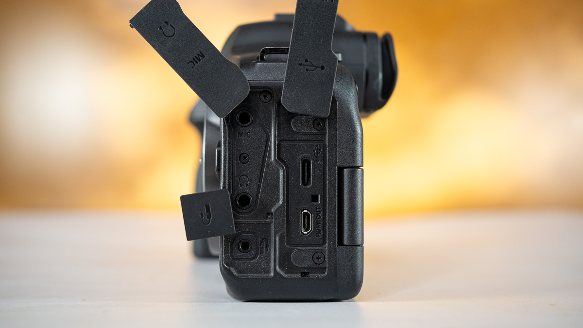 side view of the ports on the Canon EOS R6 II