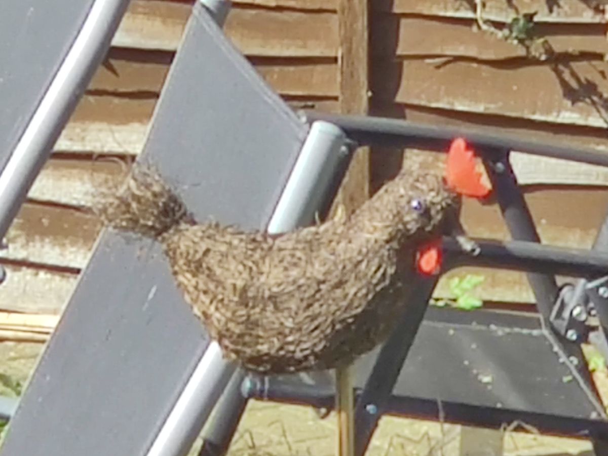 30x zoom on the OnePlus 8 Pro