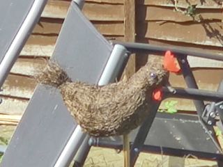 30x zoom on the OnePlus 8 Pro