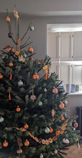 christmas tree with dried orange garland