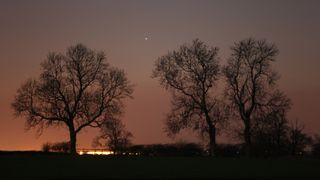 The planet Mercury appears as a point of light in the sunset sky. The glow of the setting sun is visible to the left close to the horizon as three leafless trees reach skyward.