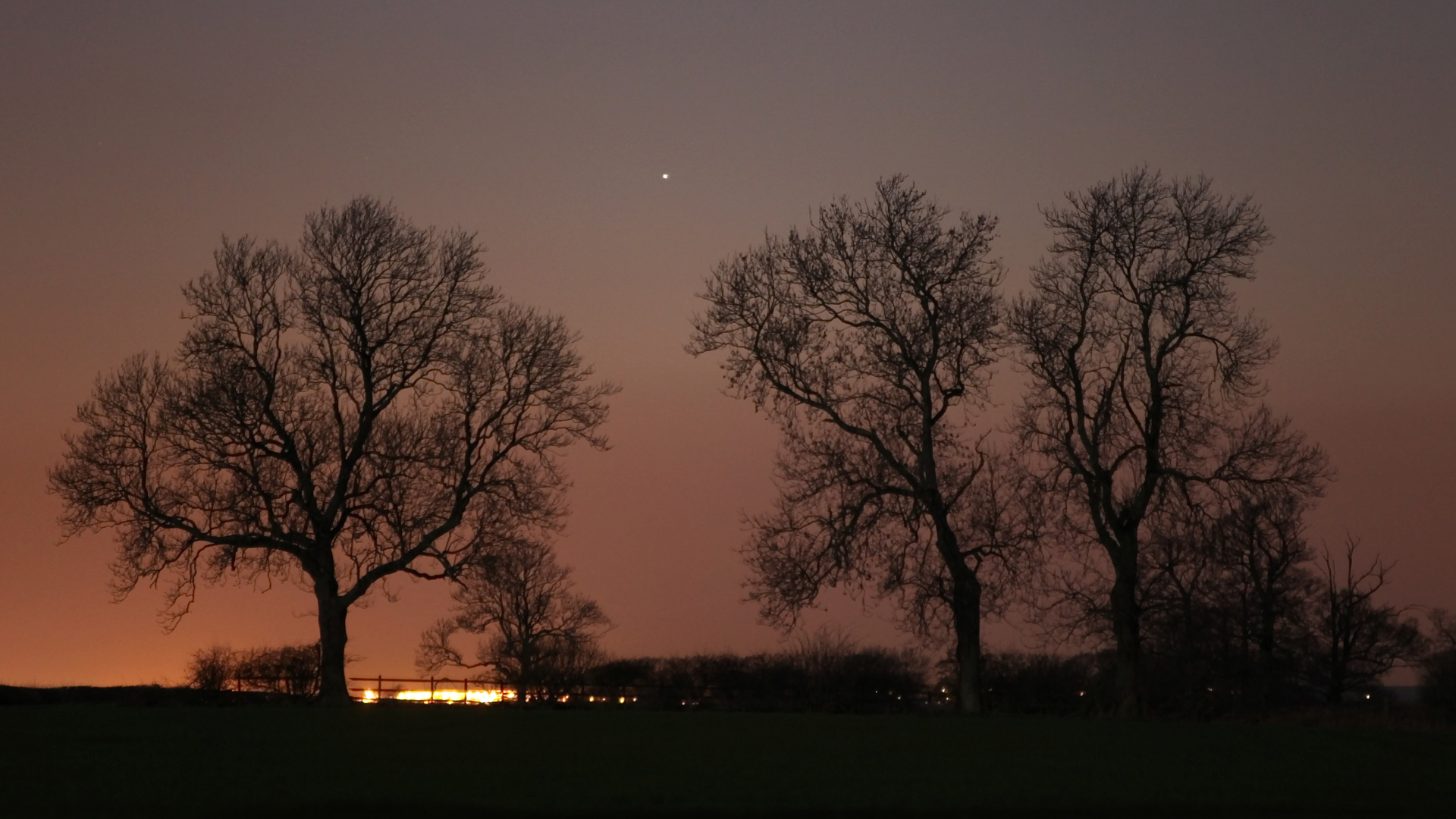 The planet Mercury appears as a point of light in the sunset sky. The glow of the setting sun is visible to the left close to the horizon as three leafless trees reach skyward.