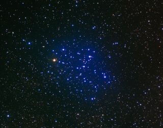 A cluster of bright blue stars shine against a backdrop of bright white stars.