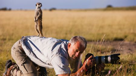A meerkat (Suricata suricatta) fearlessly climbs up on the back of a photographer in the Makgadikgadi Pan of the Kalahari, Botswana, Africa