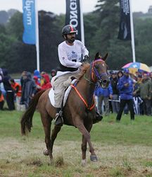 Endurance_(Sheikh_Mohammed_Bin_Rashid_Al_Maktoum).JPG