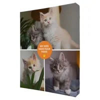 Frisco Contemporary Paws 8 x 10 Gallery-Wrapped Canvas