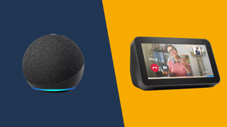 Echo dot vs Echo Show