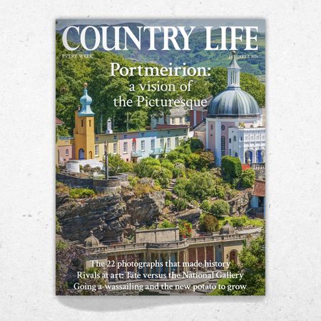 Cover of Country Life January 7, 2026