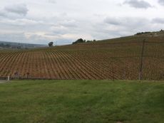 Clouds over Burgundy