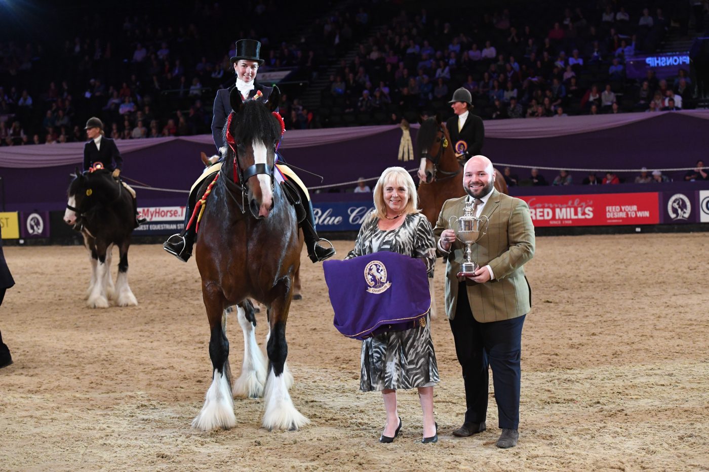 HorseNo939_HOYS_PN19_142919_348771491_587470582-e1570524237163.jpg