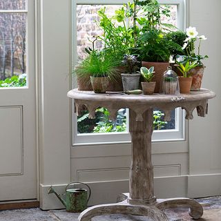 table with potted plants