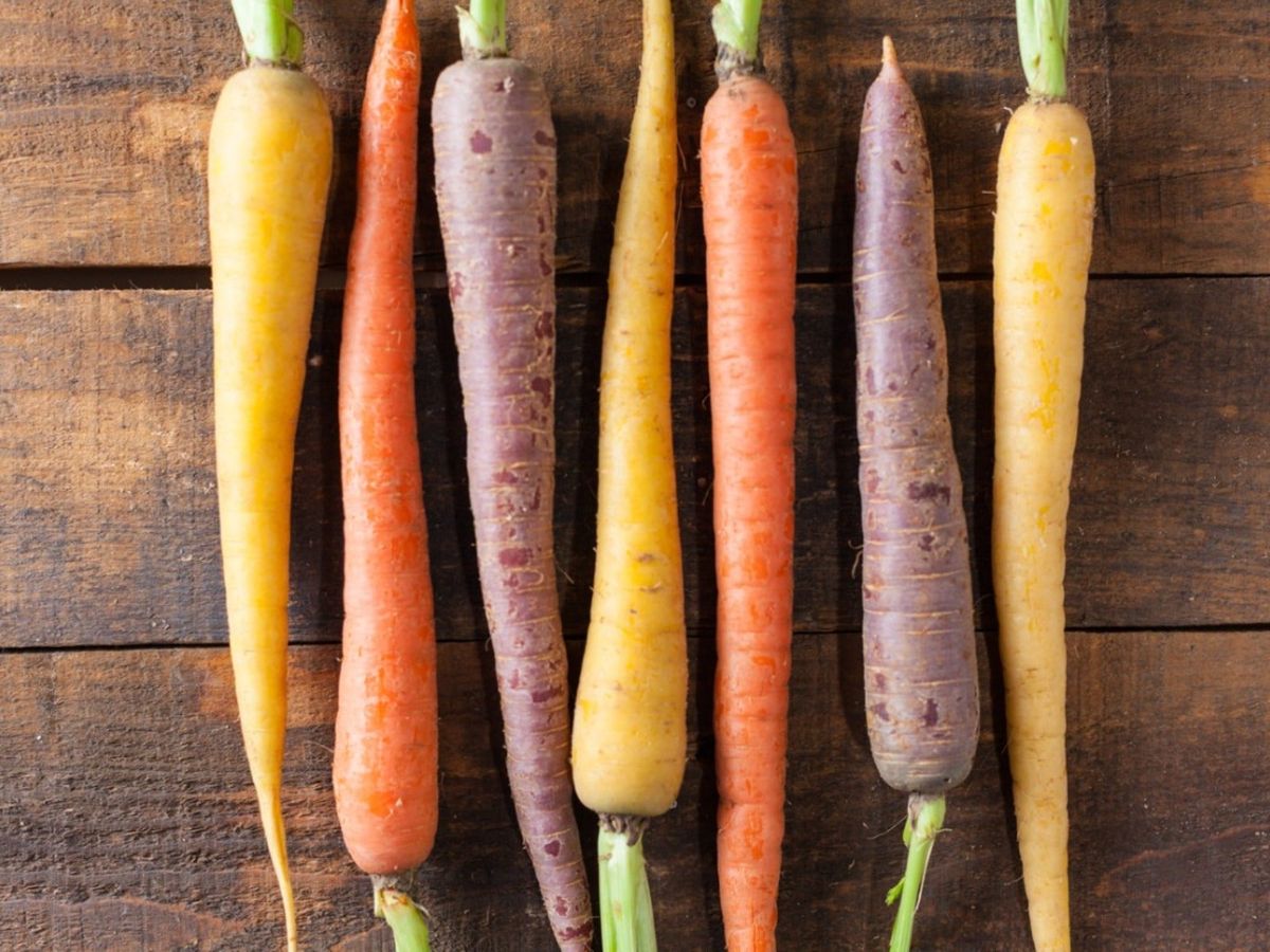 Do Rainbow Carrots Taste Different Than Orange Varieties? Gardening