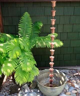 A copper rain chain in a silver bucket with a dark green brick wall behind it, a green spiky leafy plant to the left of it and gray stones underneath it