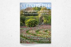 Cover of Country Life January 21, 2026