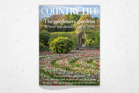 Cover of Country Life January 21, 2026