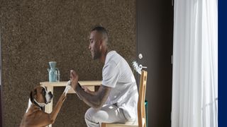 A dog sitting with 1 paw up on their owner's hand who is sitting on a dining chair