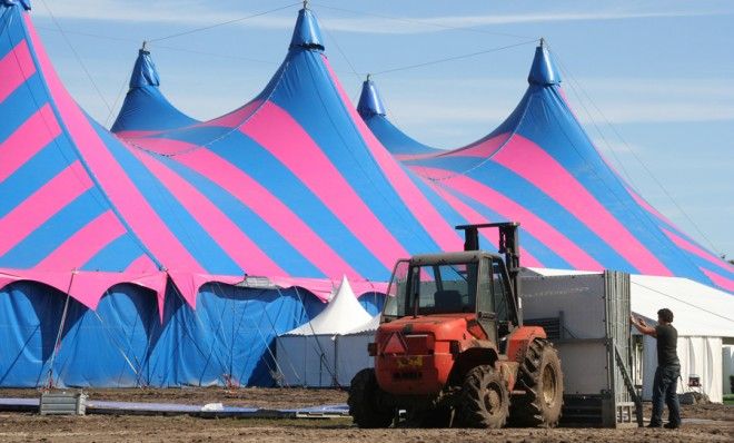 Circus worker