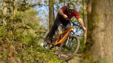 Mountain biker riding downhill through woods