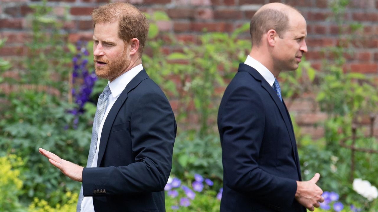 Prince William, Prince Harry