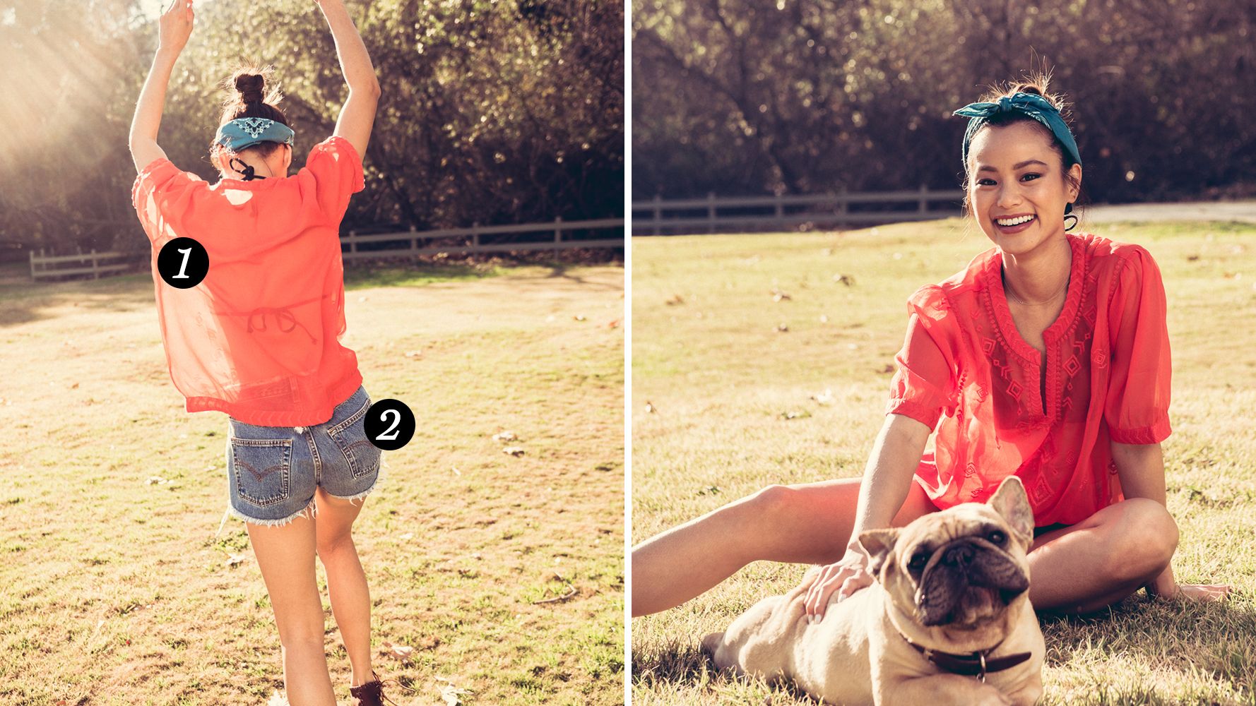 Skin, Dog, Carnivore, Hand, People in nature, Dog breed, Shorts, Snout, Wrinkle, Fawn,