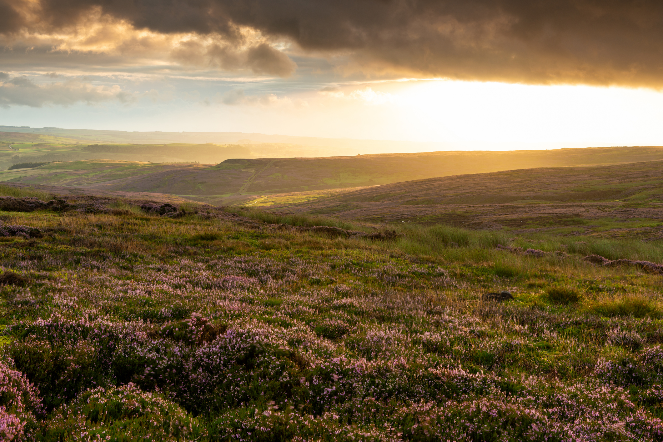 North Yorkshire
