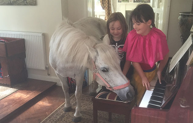 Meet Bonnie the musician