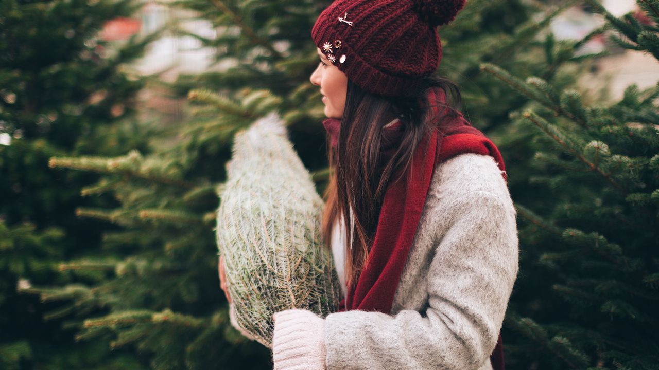 woman holding small christmas tree in netting