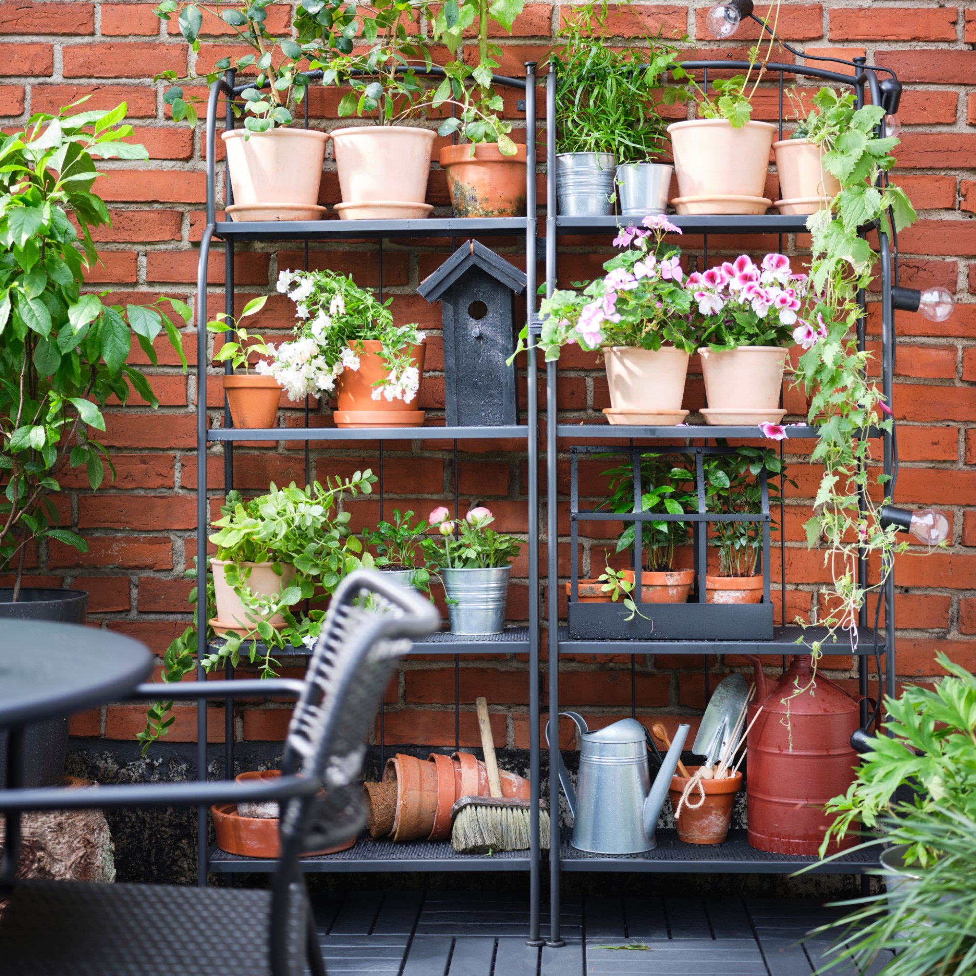 IKEA L&Auml;CK&Ouml; shelving unit