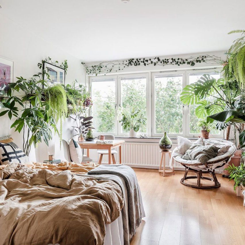 Ruang tamu/kamar tidur terbuka dengan lantai kayu, jendela besar, furnitur putih, dan banyak tanaman rumah