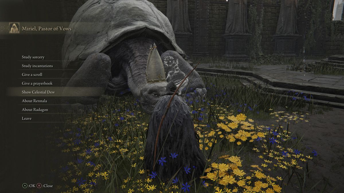 Elden Ring pope turtle