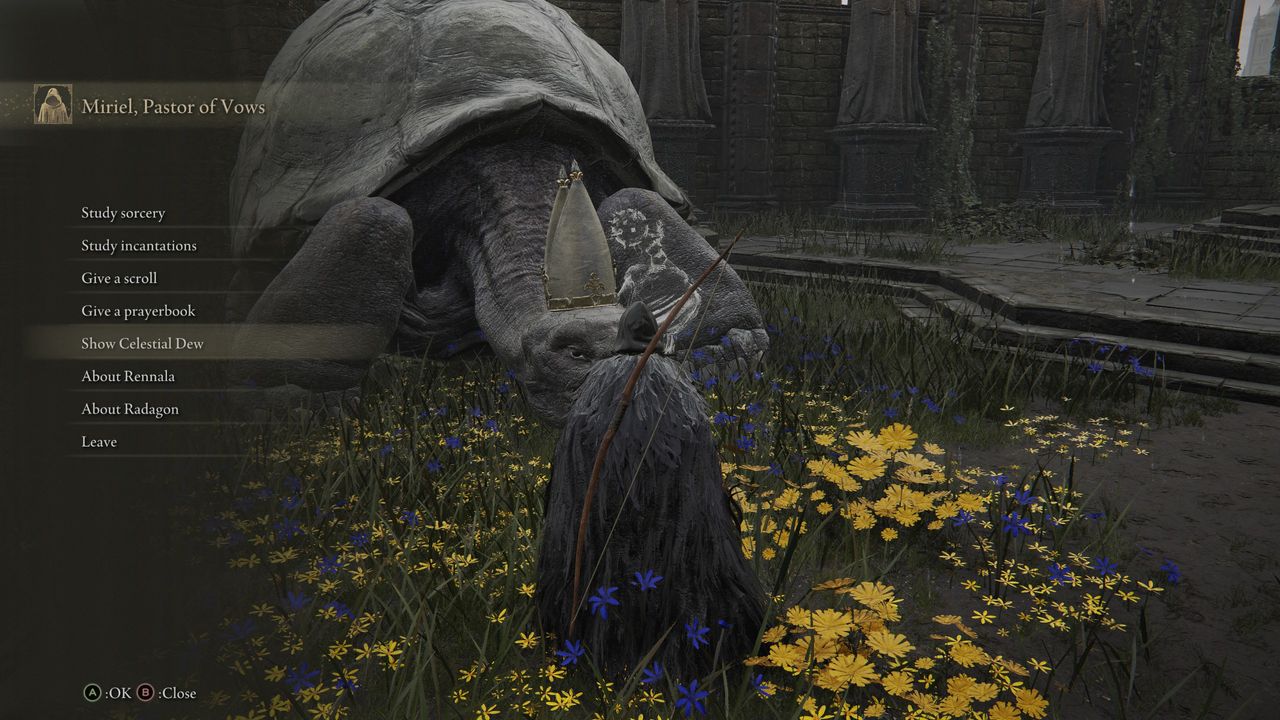 Elden Ring pope turtle