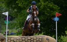 DHI-LUPISON_Bramham16pn_12190.jpg