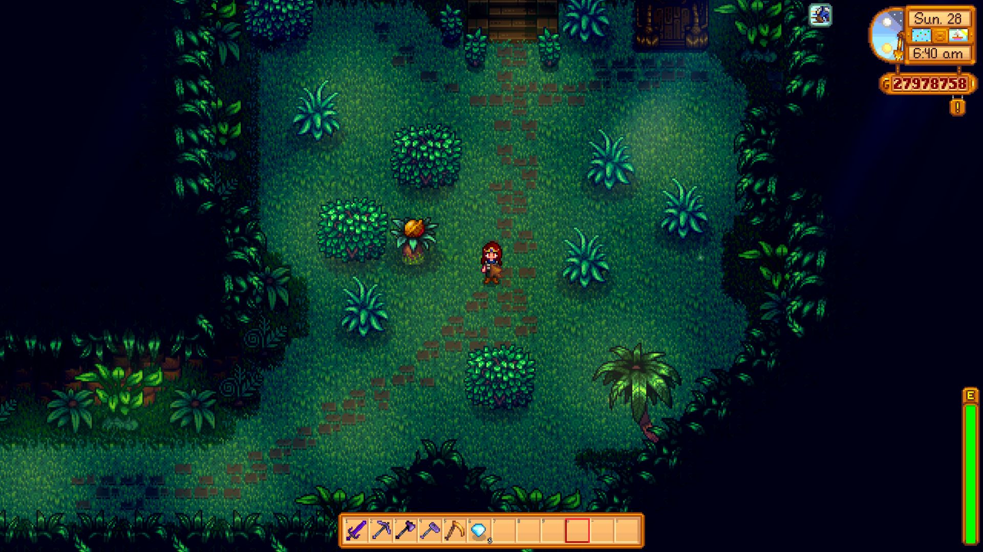 Stardew Valley Walnuts