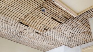 lath and plaster ceiling exposed
