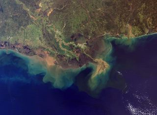 About 500 million tons (550 million metric tons) of sediment flows into the Gulf of Mexico from the Mississippi River each year. This true-color image, acquired from the Moderate Resolution Imaging Spectroradiometer (MODIS) aboard NASA's Terra satellite, shows the murky brown water of the Mississippi mixing with the dark blue water of the Gulf two days after a rainstorm.