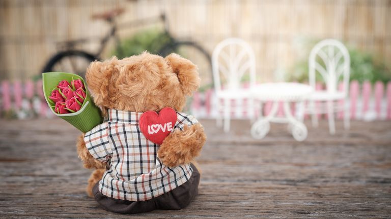 valentine's day gifts stuffed animals