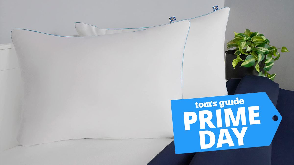 Two Sealy Slumber Bed Pillows on a bed, propped up, a Tom&#039;s Guide Prime Day deals graphic (right)