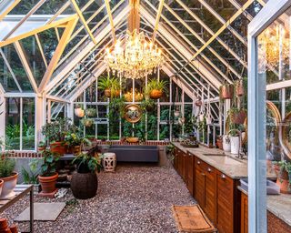 Interior of a greenhouse in the evening