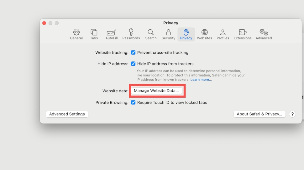 How to open Manage Website Data on Safari