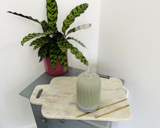 Oliver Bonas Essential Oil Electric Aroma Diffuser in sage green on ngithstand beside plant sitting on marble board