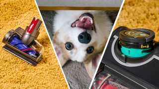 Dyson hair screw tool (left, Future owns), happy dog (center, Getty) and Shark Anti-Odor capsule (right, Future owns) 