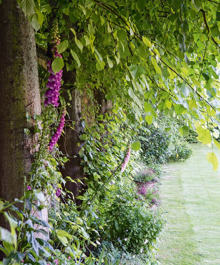 How to create an eco-friendly garden