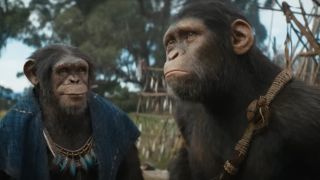 One ape looks on with determination, as another looks at him in Kingdom of the Planet of the Apes.