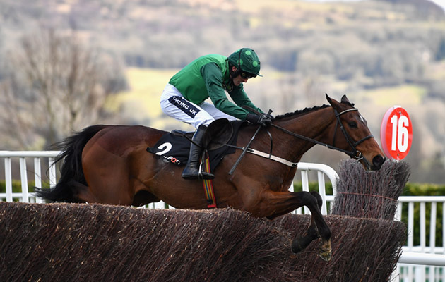Cheltenham Festival - Champion Day