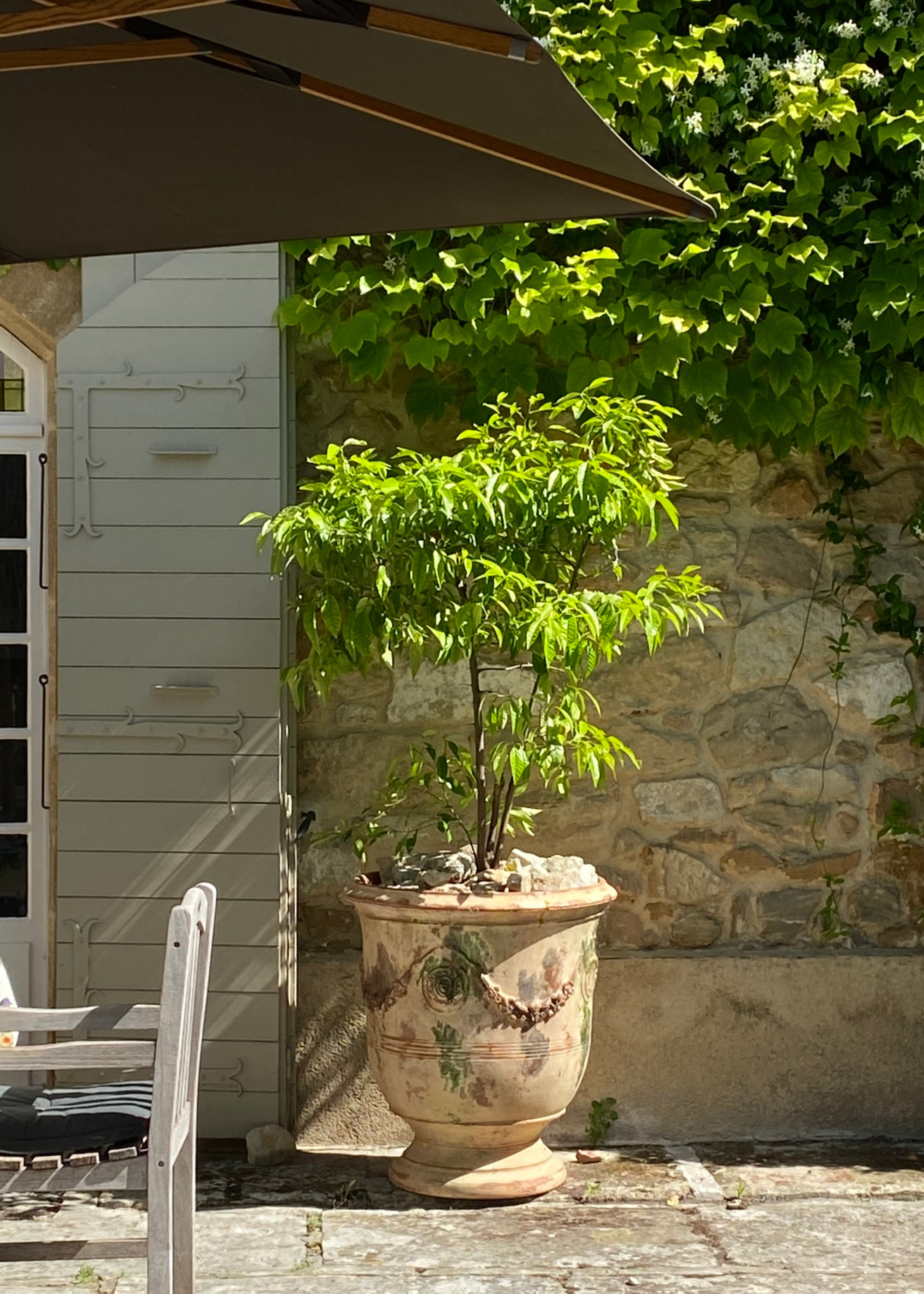 An oversized antique planter with a potted tree in a garden